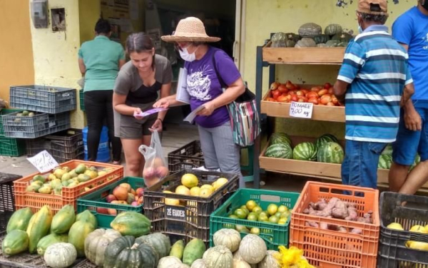 Dia Internacional da Não Violência Contra a Mulher.