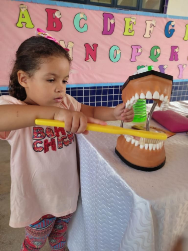 PSE — Programa Saúde na Escola.