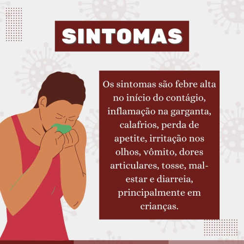 Informações acerca da gripe H3N2!