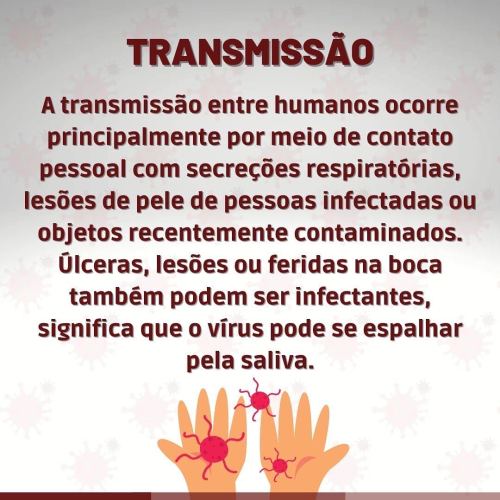 Tudo o que você precisa saber sobre Monkeypox.