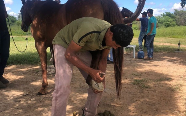 CAPACITAÇÃO E QUALIFICAÇÃO AOS NOSSOS PRODUTORES RURAIS