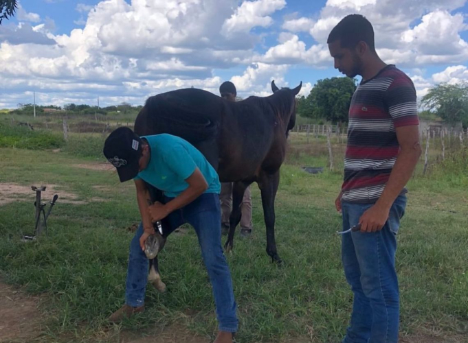 CAPACITAÇÃO E QUALIFICAÇÃO AOS NOSSOS PRODUTORES RURAIS