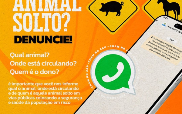 Prefeitura de Granito reforça canal de denúncias para animais soltos nas ruas