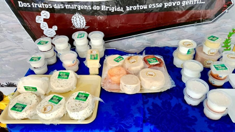 Último dia do Curso de “Dia de Campo: Desenvolvimento das Agroindústrias dos Sertões”!